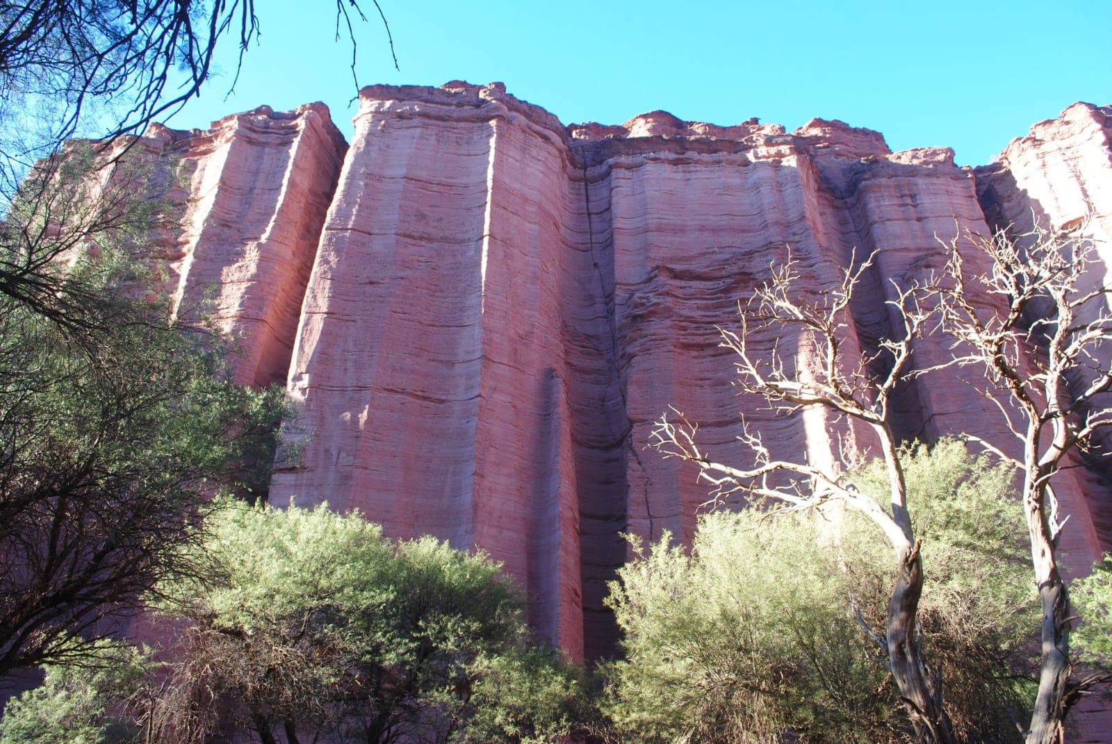 Cañón de Talampaya - La Rioja