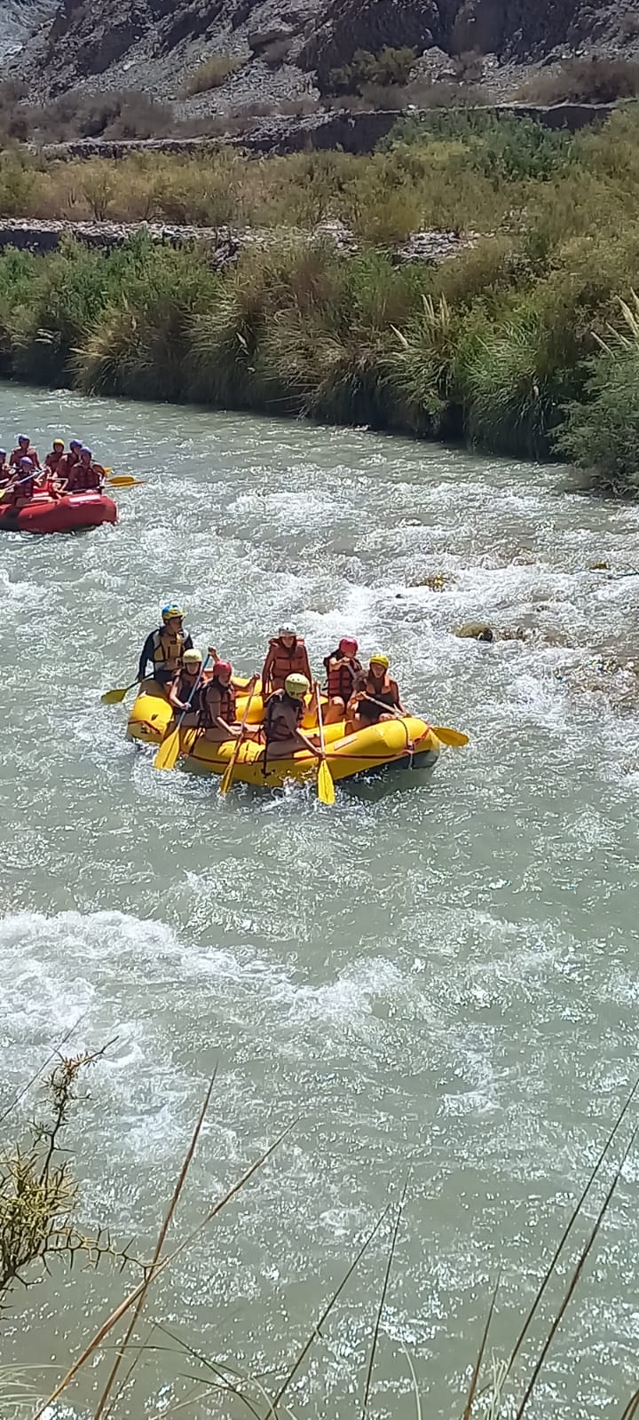 Naturaleza en San Juan