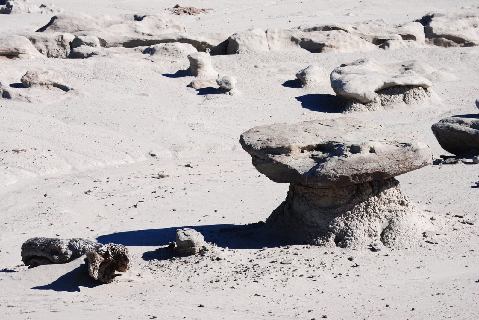Ischigualasto - Valle de la Luna