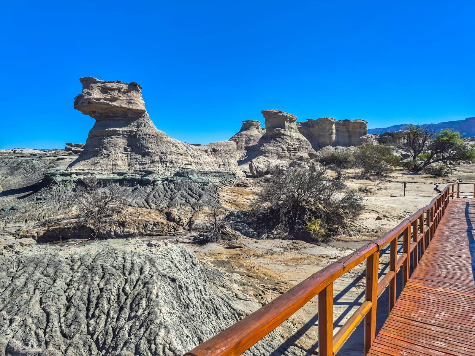 Ischigualasto - Valle de la Luna