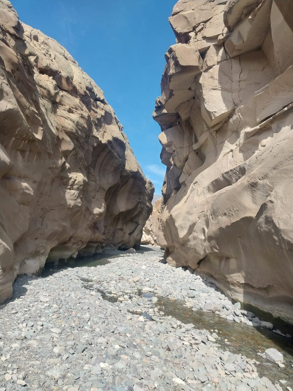 Valles Iglesianos y Jáchal