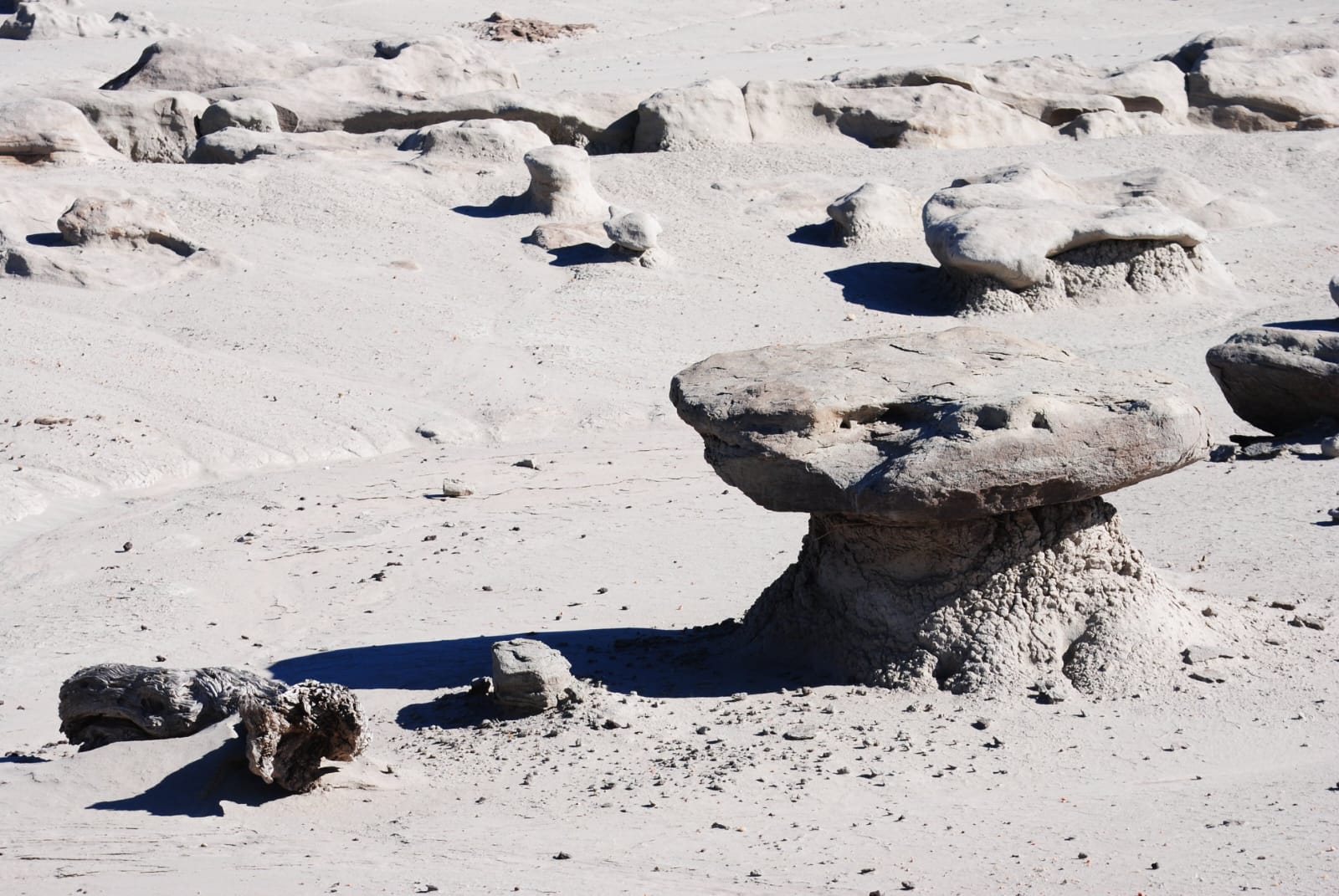Ischigualasto - Valle de la Luna 3