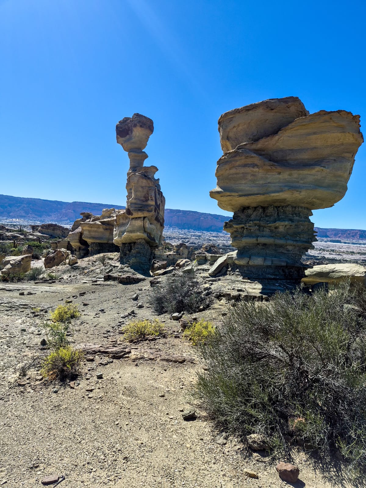 Ischigualasto - Valle de la Luna 4