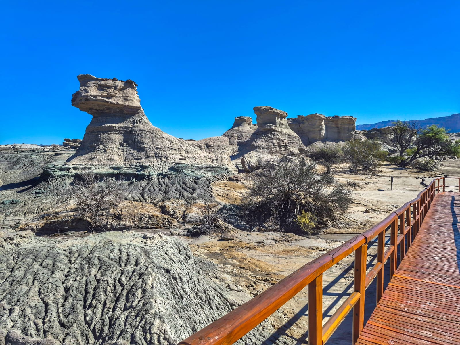 Ischigualasto - Valle de la Luna 2